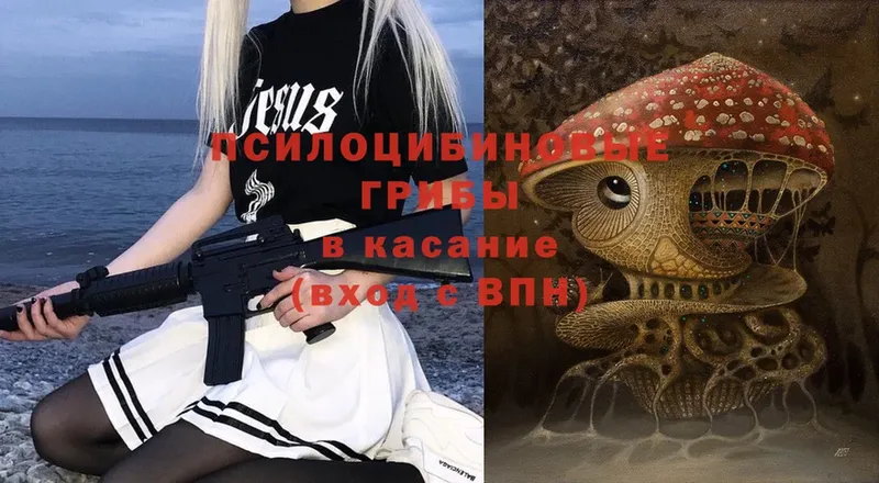 Псилоцибиновые грибы Psilocybe  Заволжье 